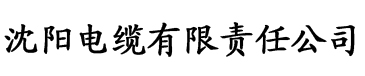 琪琪影视电缆厂logo